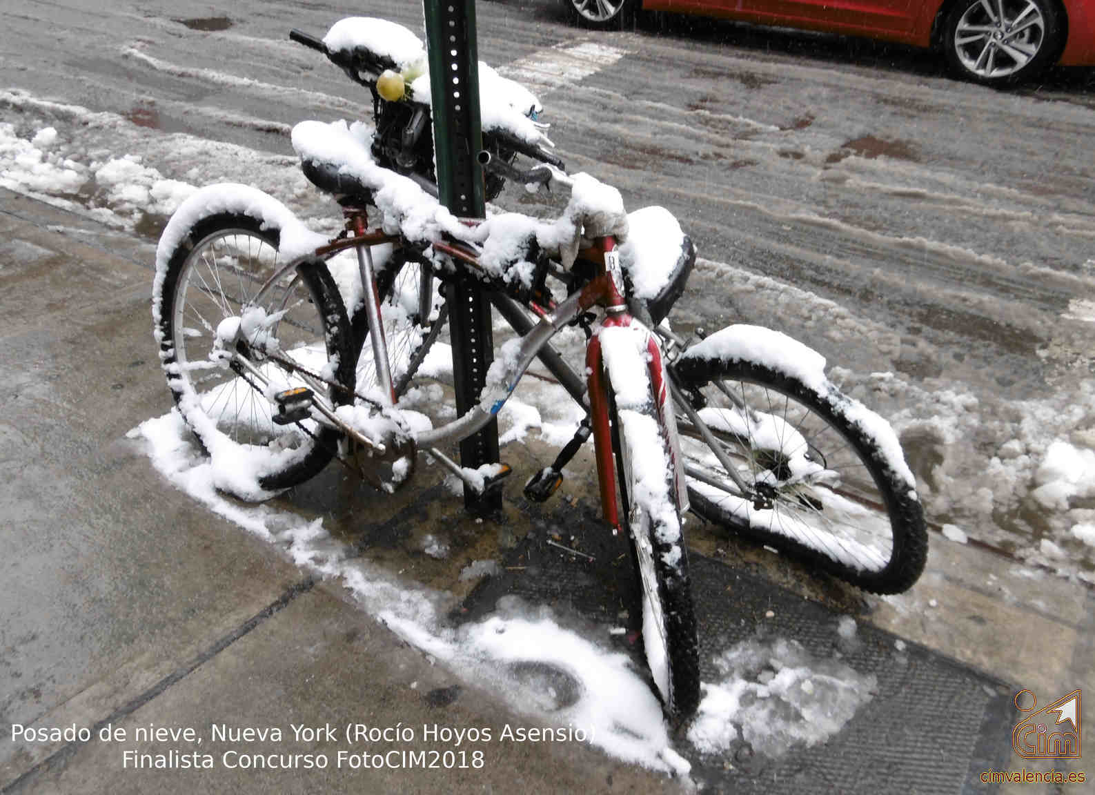 2019_5-6-06-Posado de nieve, Nueva York (Rocío Hoyos Asensio)-13x18.jpg